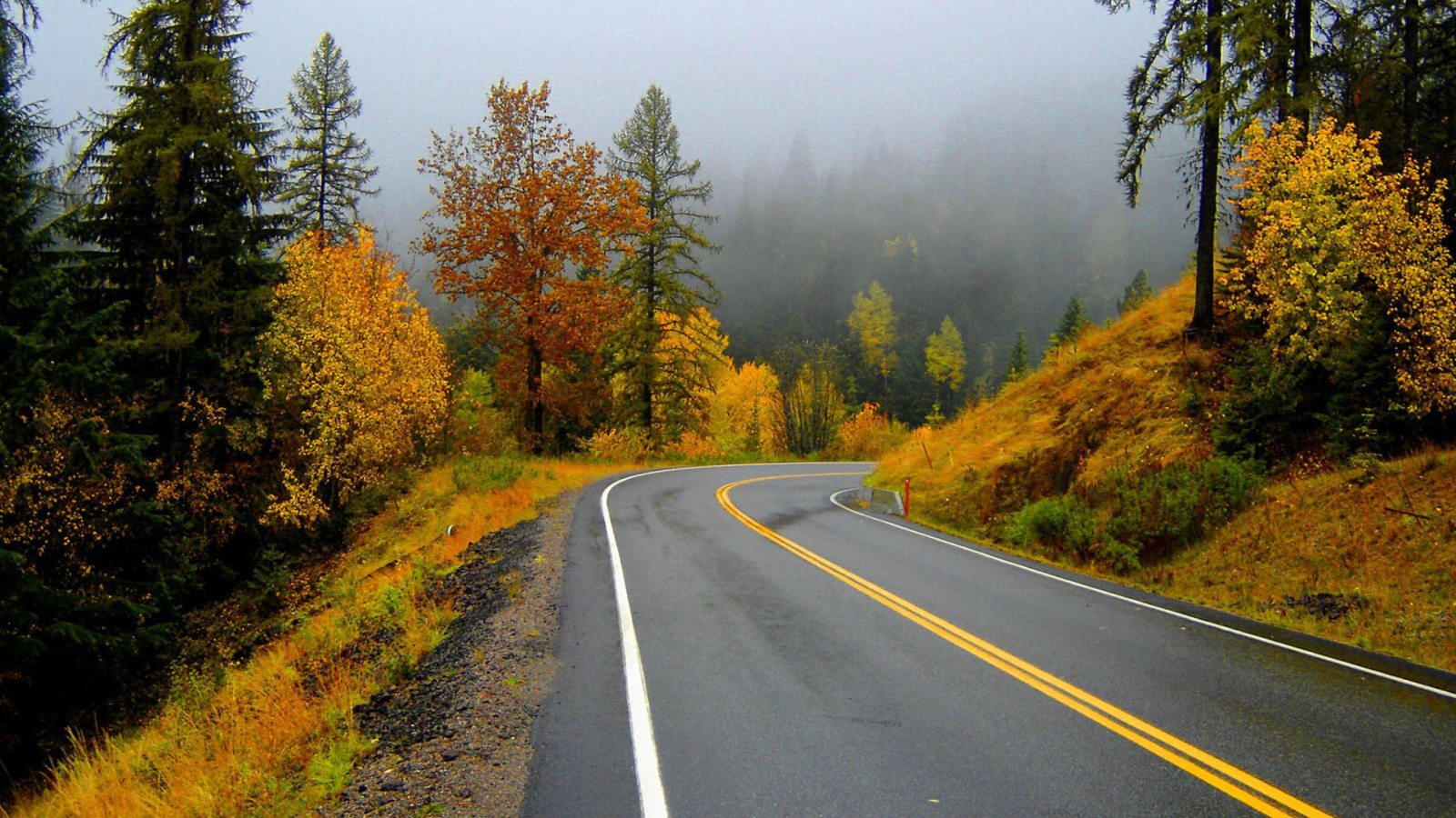 Sfondi Autumn Sodden Road 1600x900