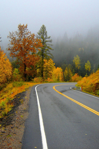 Fondo de pantalla Autumn Sodden Road 320x480