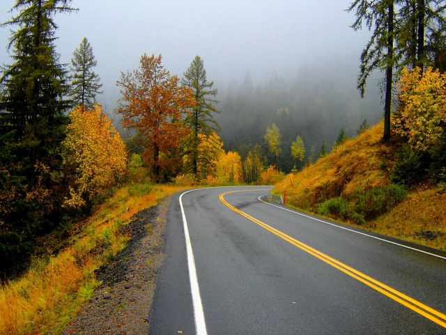 Fondo de pantalla Autumn Sodden Road 640x480