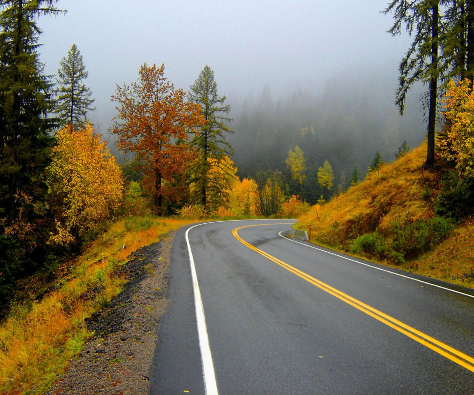 Autumn Sodden Road screenshot #1 960x800