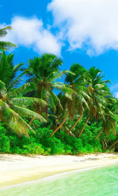 Screenshot №1 pro téma Tropical Landscape and Lagoon HD 240x400