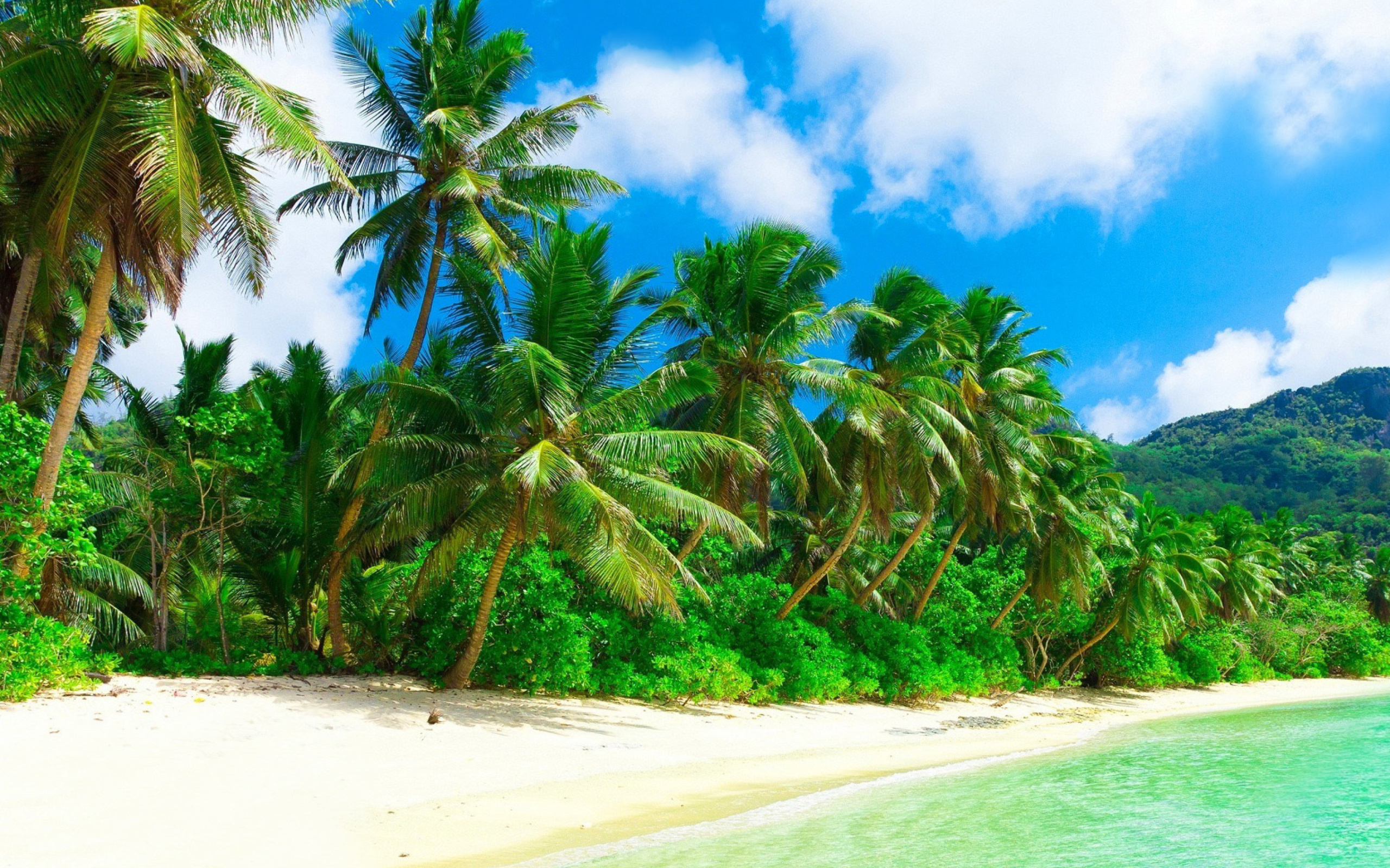 Обои Tropical Landscape and Lagoon HD 2560x1600