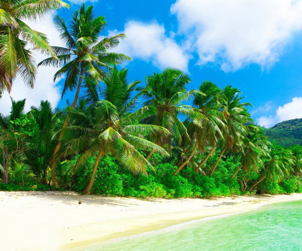 Fondo de pantalla Tropical Landscape and Lagoon HD 960x800