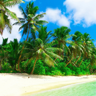 Tropical Landscape and Lagoon HD sfondi gratuiti per 1024x1024