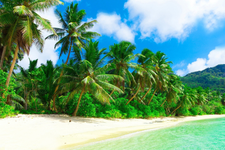 Das Tropical Landscape and Lagoon HD Wallpaper