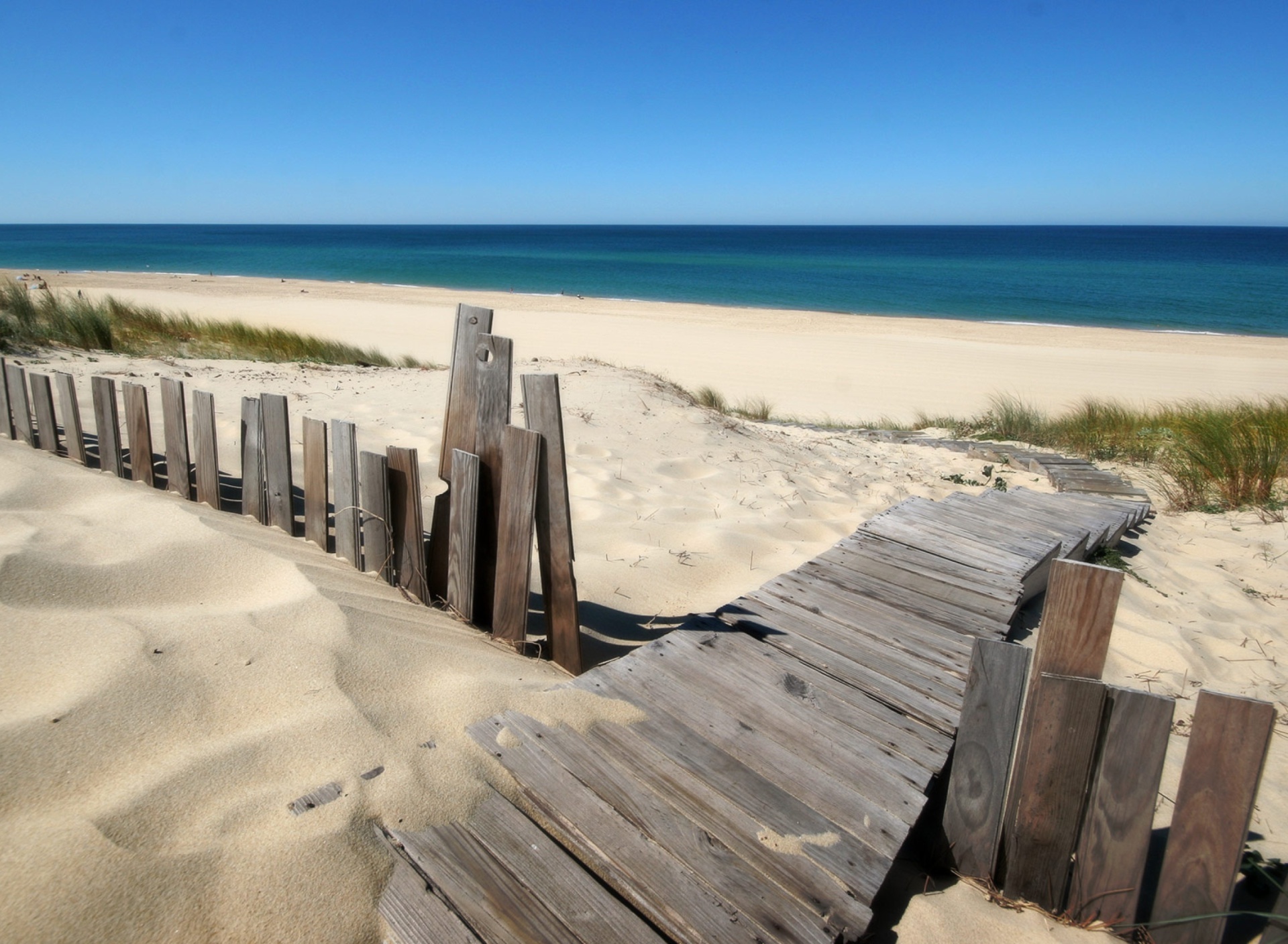 Das Beach Dunes in Northwest Indiana Wallpaper 1920x1408