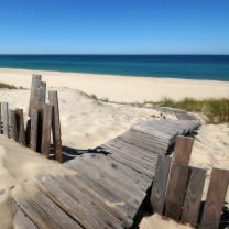 Screenshot №1 pro téma Beach Dunes in Northwest Indiana 208x208