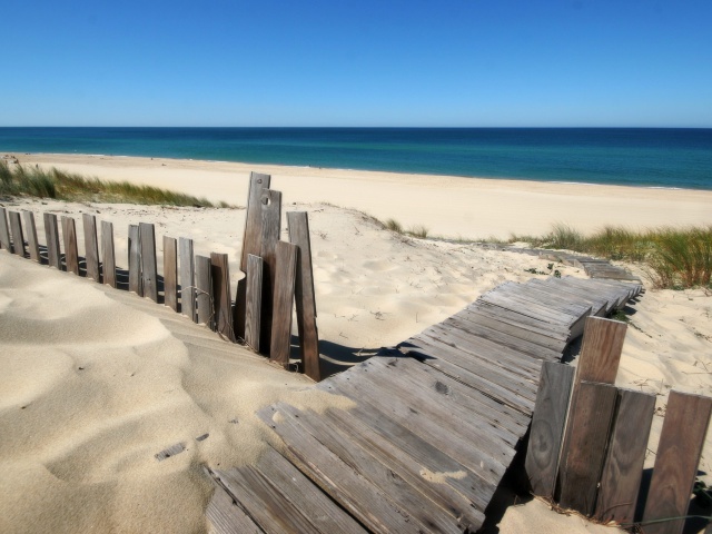 Screenshot №1 pro téma Beach Dunes in Northwest Indiana 640x480