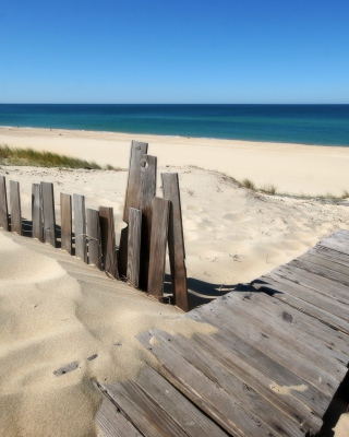 Beach Dunes in Northwest Indiana - Obrázkek zdarma pro iPhone 4