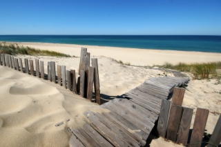 Beach Dunes in Northwest Indiana - Obrázkek zdarma pro Android 1440x1280