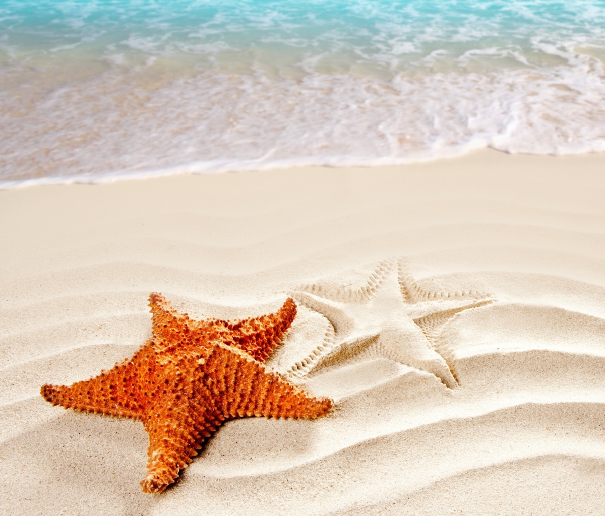 Cool Sea Star wallpaper 1200x1024