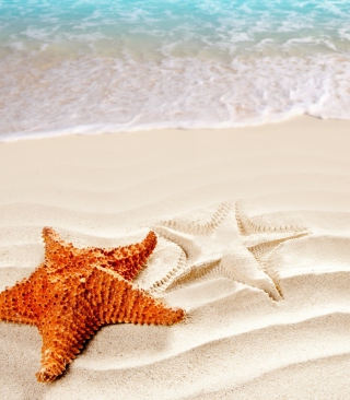 Cool Sea Star - Obrázkek zdarma pro iPhone 6