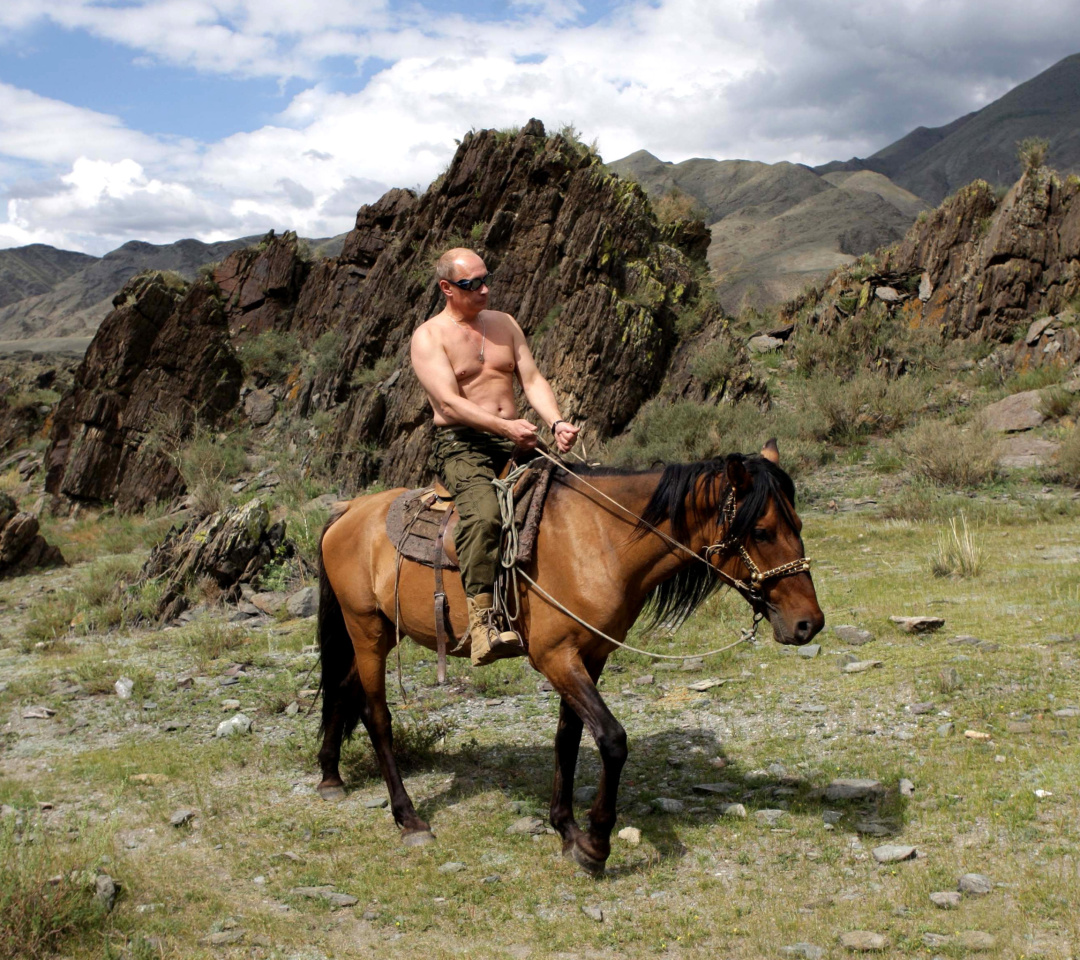 Vladimir Putin President screenshot #1 1080x960