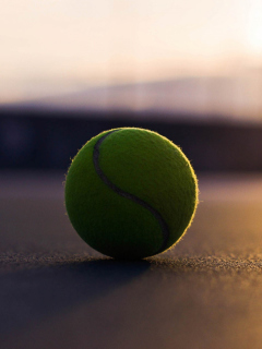 Screenshot №1 pro téma Tennis Ball 240x320