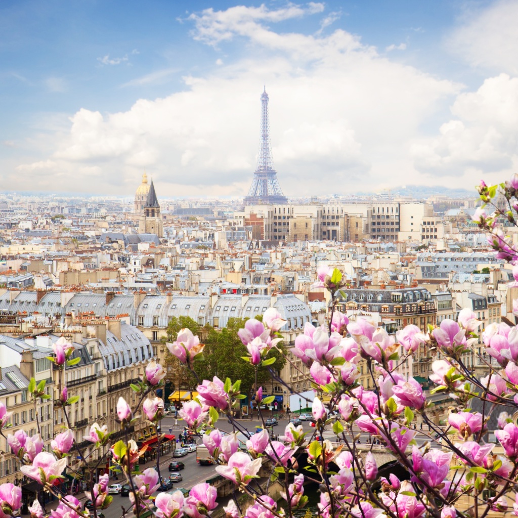 Fondo de pantalla Paris Sakura Location for Instagram 1024x1024