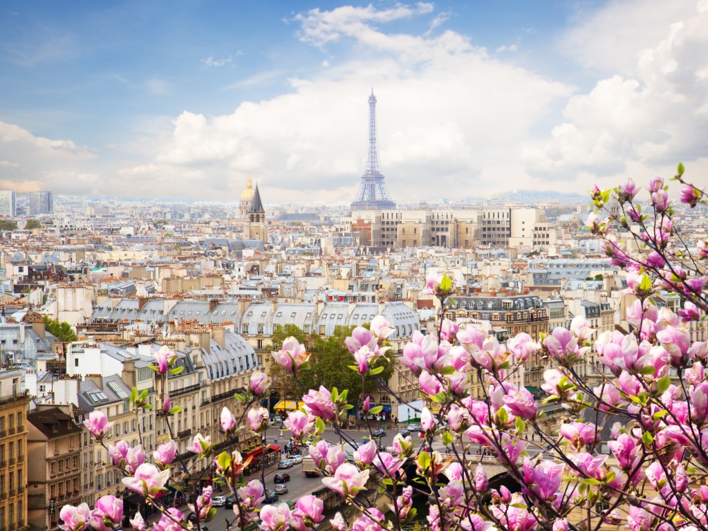 Fondo de pantalla Paris Sakura Location for Instagram 1024x768