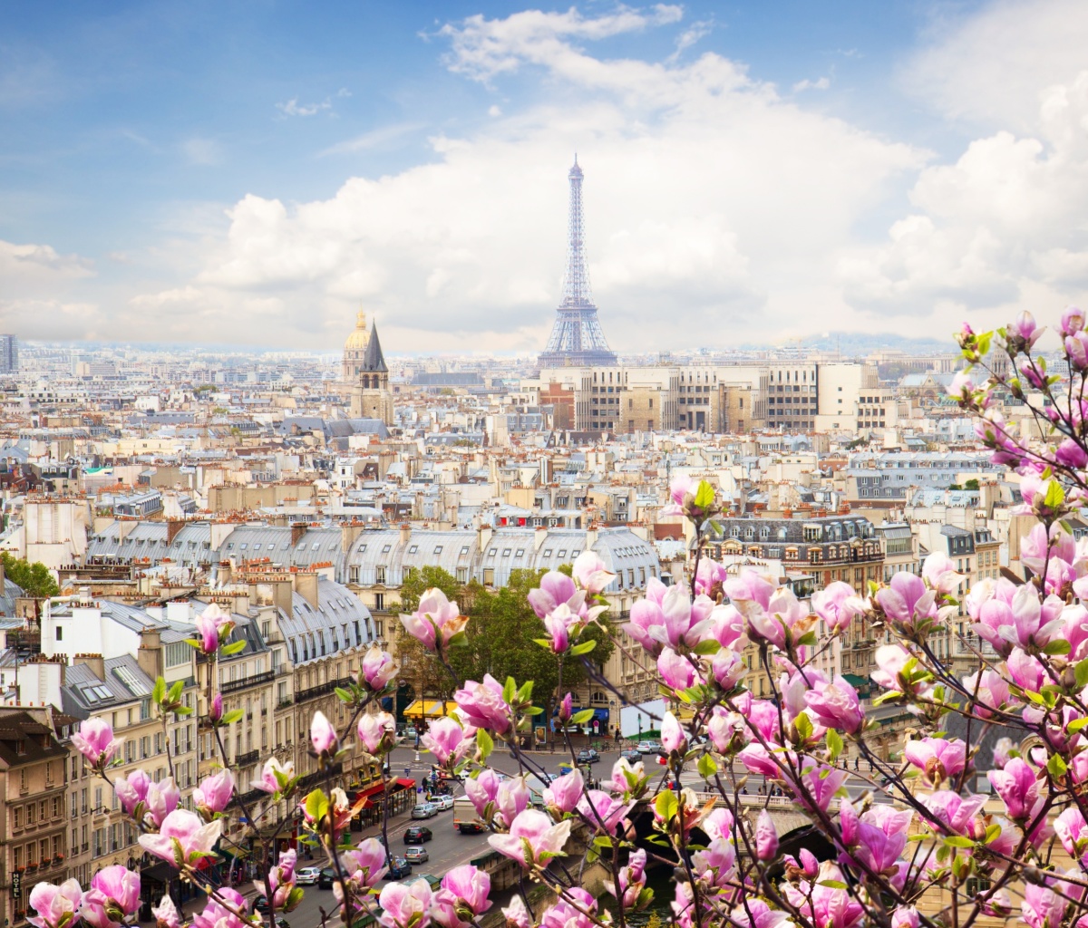 Fondo de pantalla Paris Sakura Location for Instagram 1200x1024