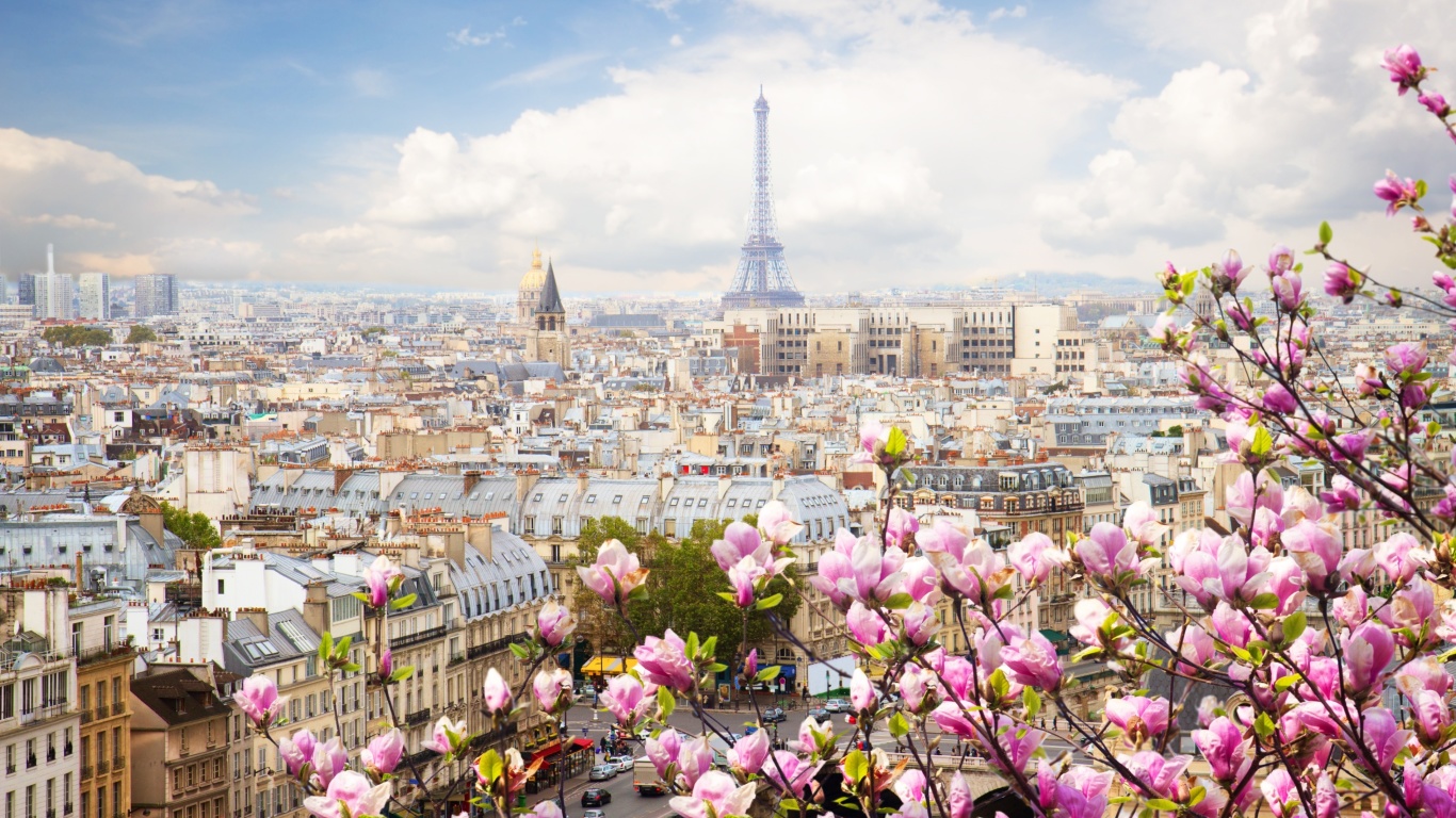 Das Paris Sakura Location for Instagram Wallpaper 1366x768