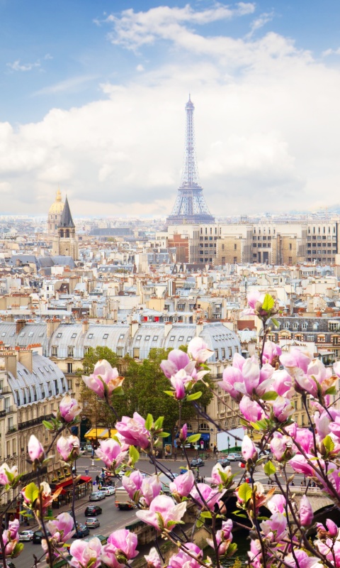 Fondo de pantalla Paris Sakura Location for Instagram 480x800