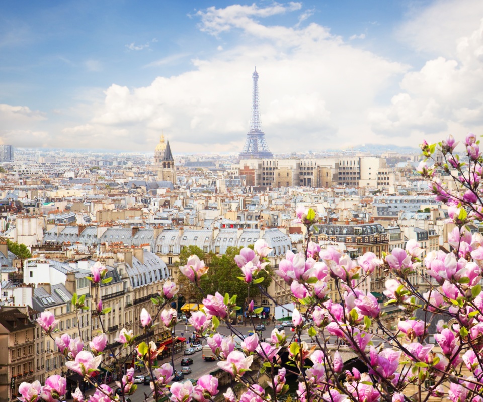 Обои Paris Sakura Location for Instagram 960x800