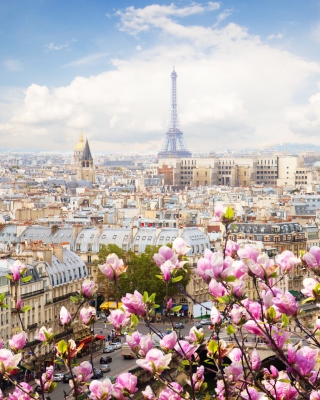 Kostenloses Paris Sakura Location for Instagram Wallpaper für Nokia C6