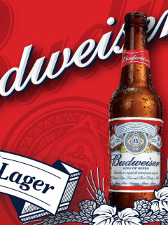 Das Budweiser Lager Beer Brand Wallpaper 240x320