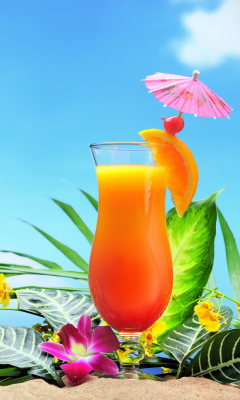 Screenshot №1 pro téma Tropical Cocktails 240x400