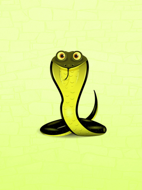 Fondo de pantalla 2013 - Year Of Snake 480x640