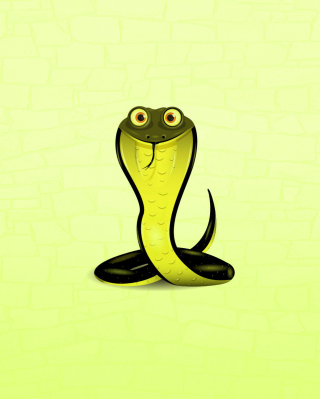 2013 - Year Of Snake - Obrázkek zdarma pro Nokia C-5 5MP