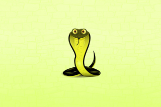 2013 - Year Of Snake Background for Android, iPhone and iPad