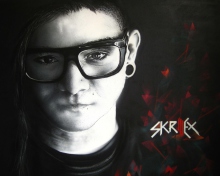 Fondo de pantalla Skrillex 220x176