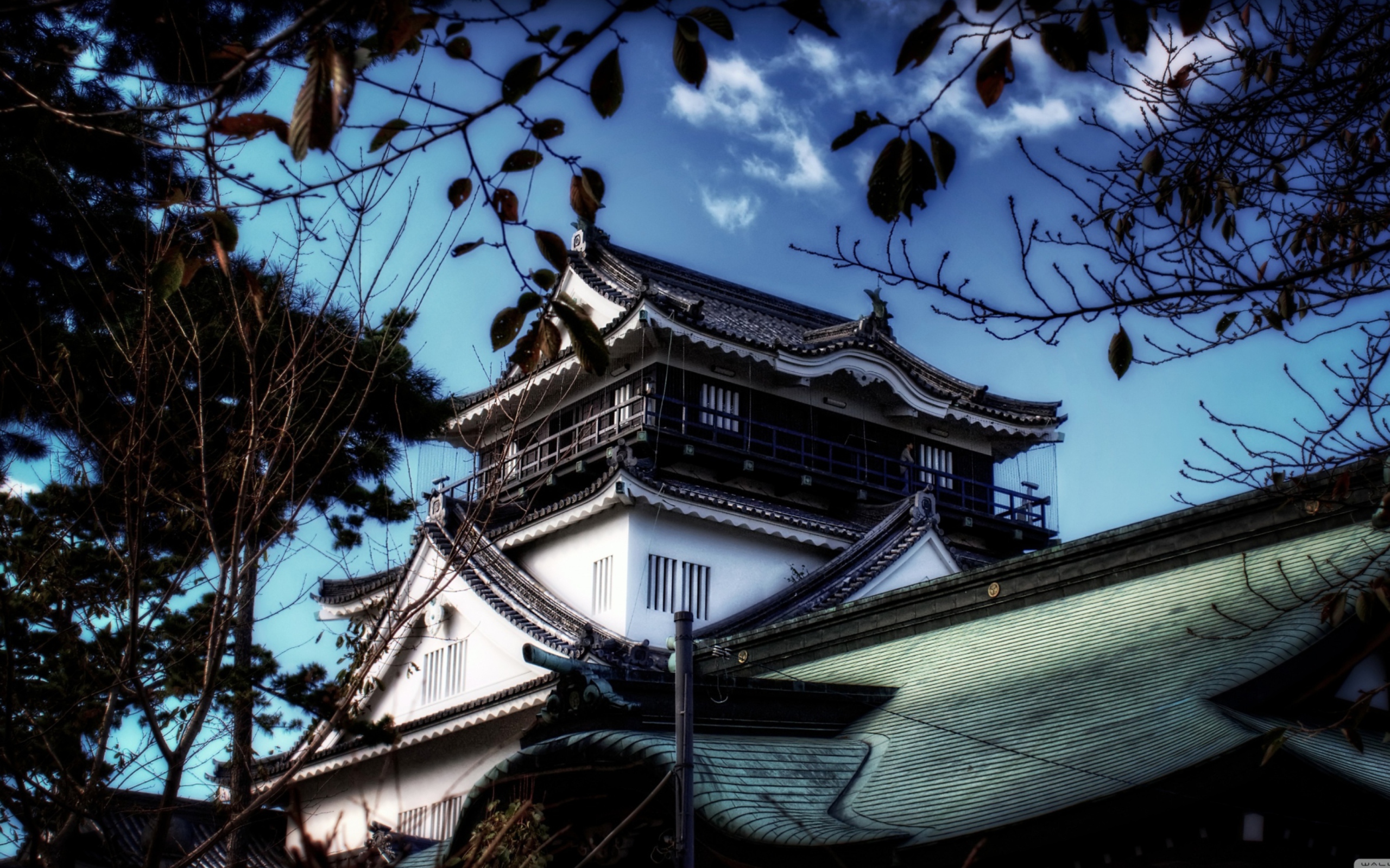 Screenshot №1 pro téma Okazaki Castle 2560x1600