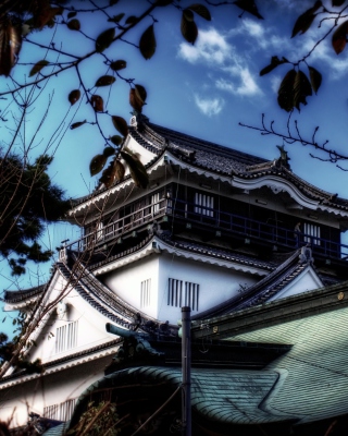 Okazaki Castle - Obrázkek zdarma pro 128x160