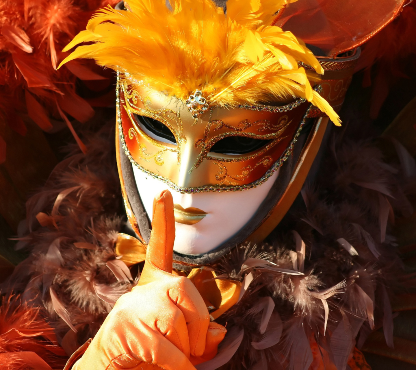 Das Carnival Mask Wallpaper 1440x1280