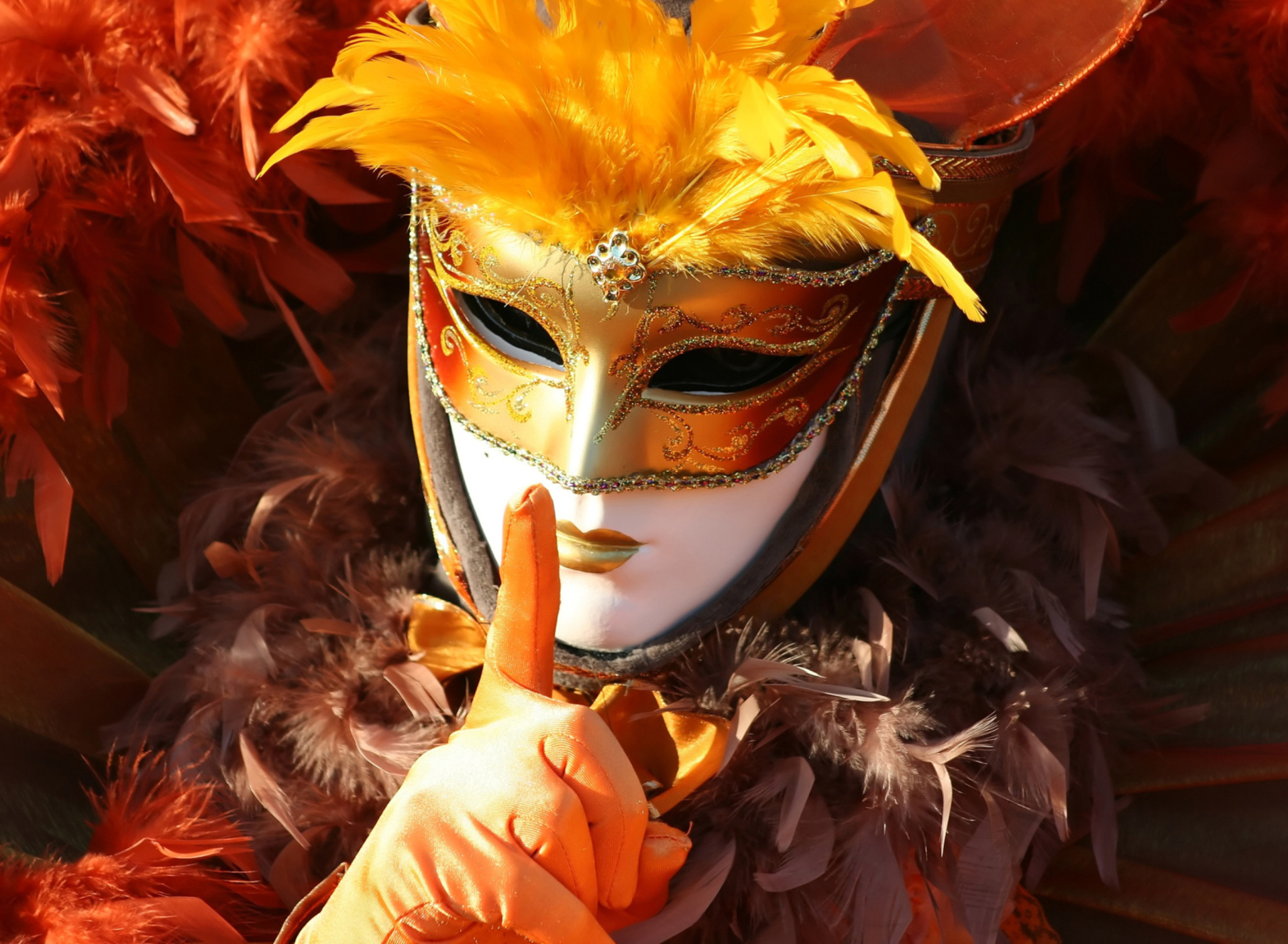 Screenshot №1 pro téma Carnival Mask 1920x1408
