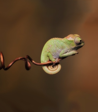 Chameleon On Stick - Obrázkek zdarma pro 128x160