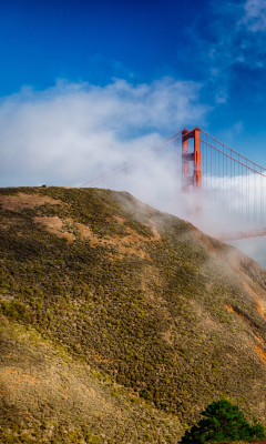 Screenshot №1 pro téma California San Francisco Golden Gate 240x400