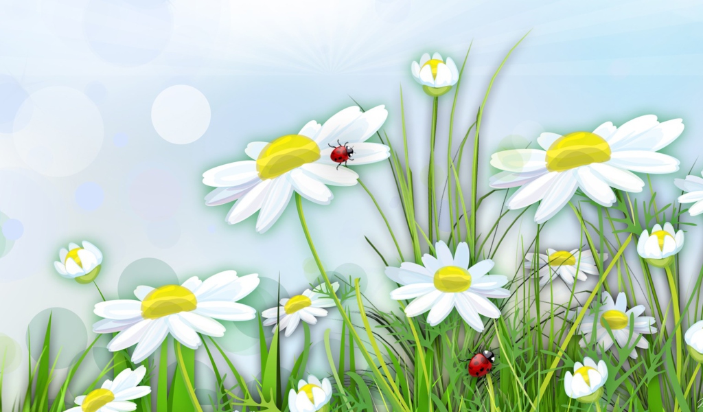 Chamomile And Ladybug wallpaper 1024x600