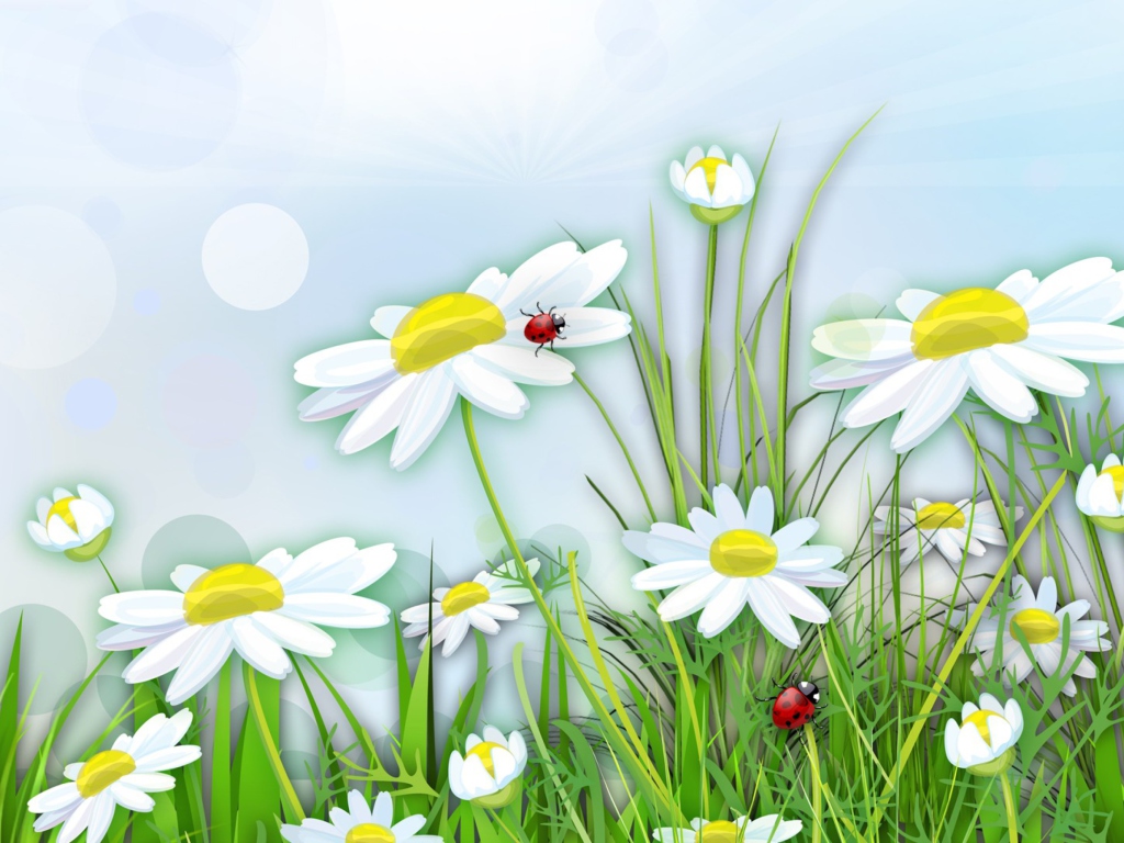 Обои Chamomile And Ladybug 1024x768