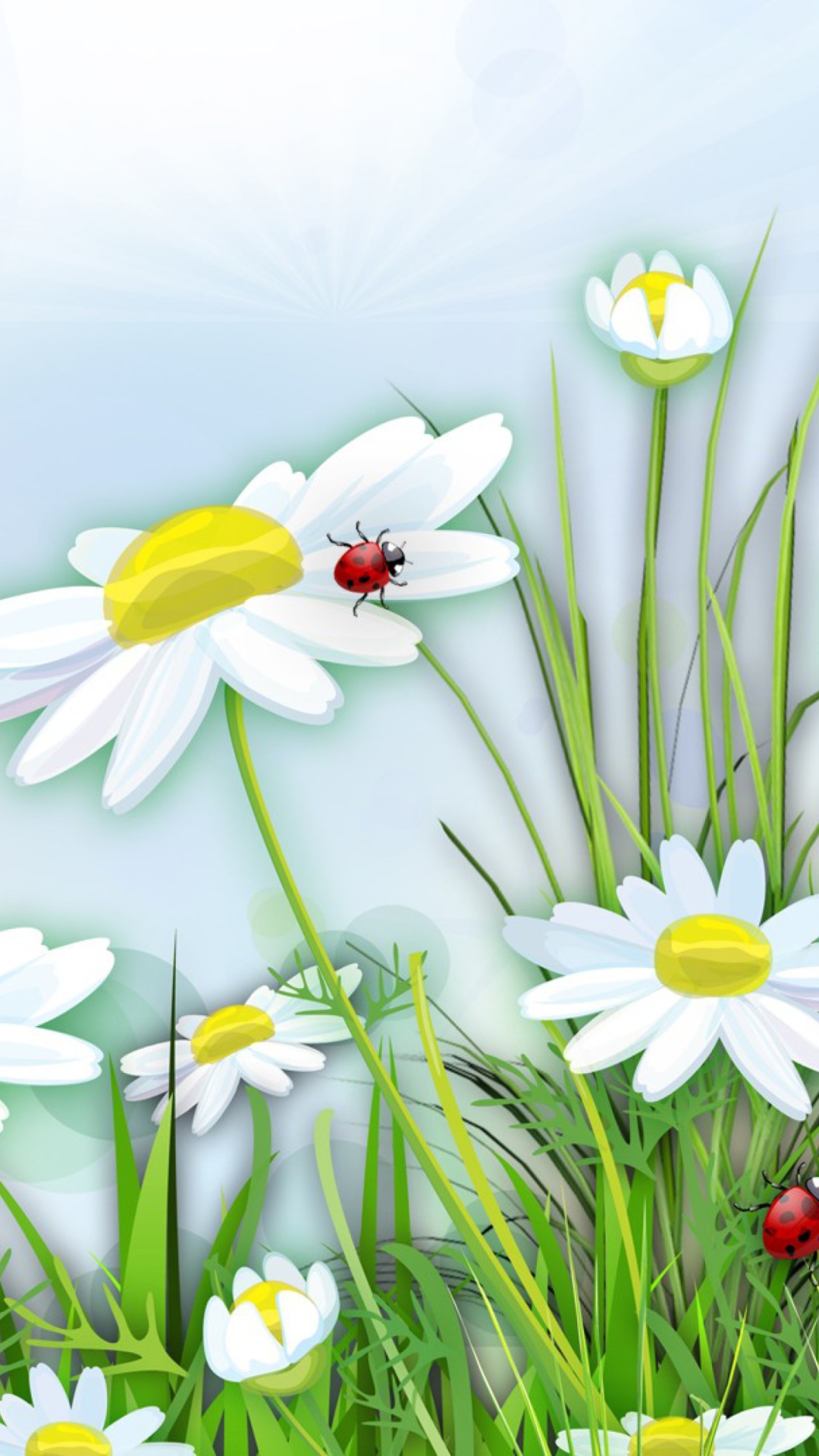 Sfondi Chamomile And Ladybug 1080x1920