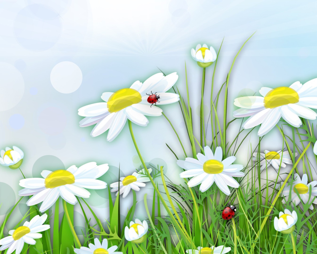 Обои Chamomile And Ladybug 1280x1024