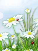 Chamomile And Ladybug wallpaper 132x176