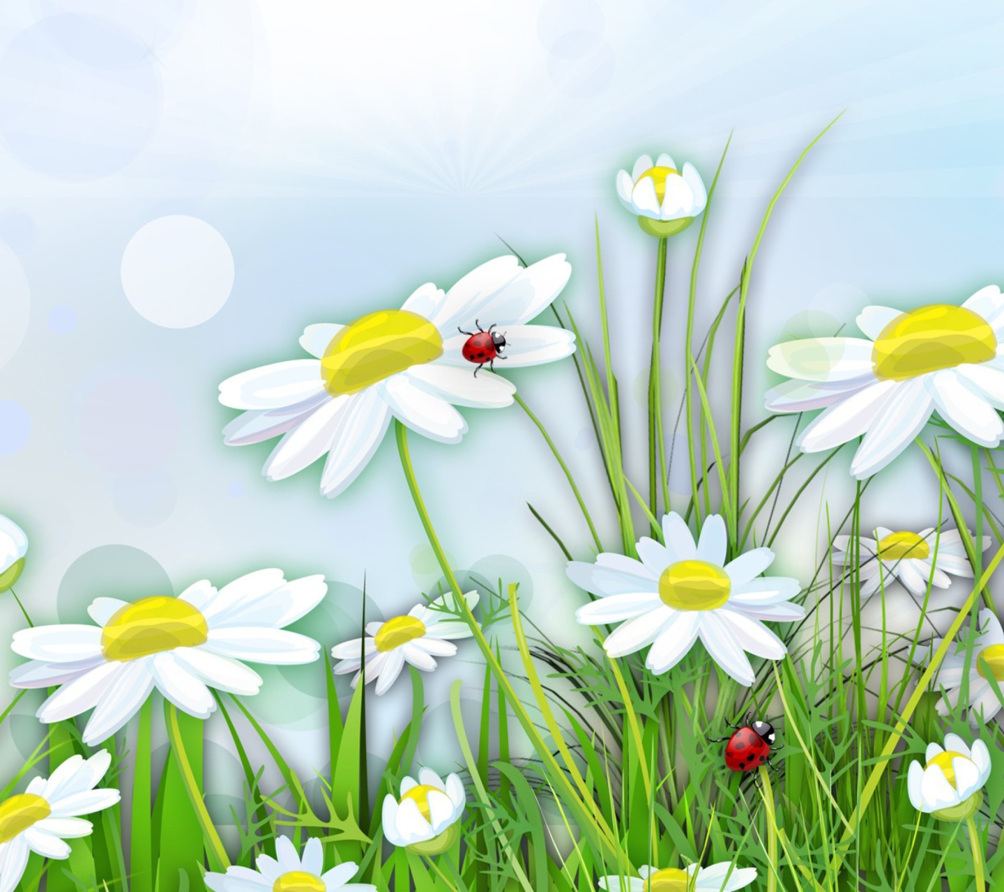 Chamomile And Ladybug wallpaper 1440x1280