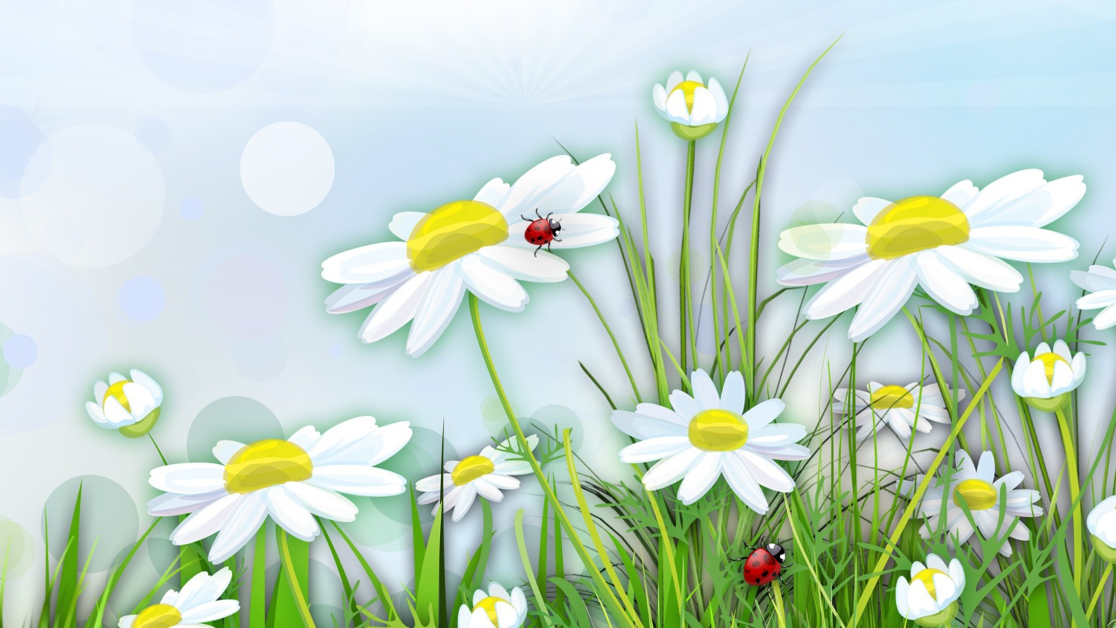 Chamomile And Ladybug screenshot #1 1600x900