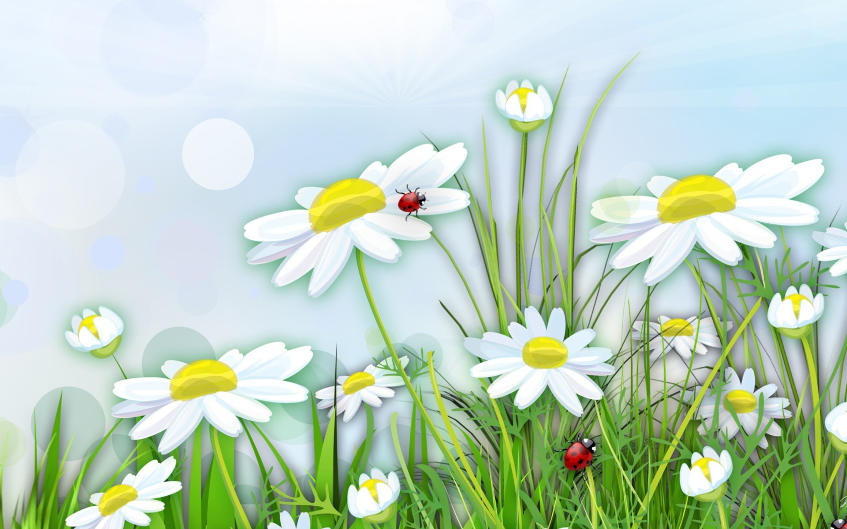 Обои Chamomile And Ladybug 1680x1050