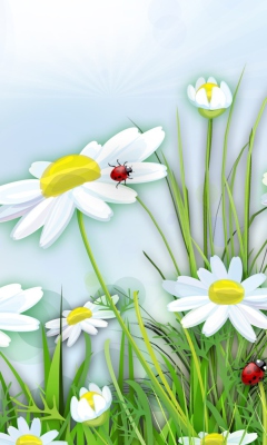 Das Chamomile And Ladybug Wallpaper 240x400