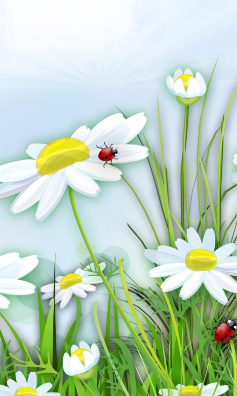 Chamomile And Ladybug wallpaper 480x800