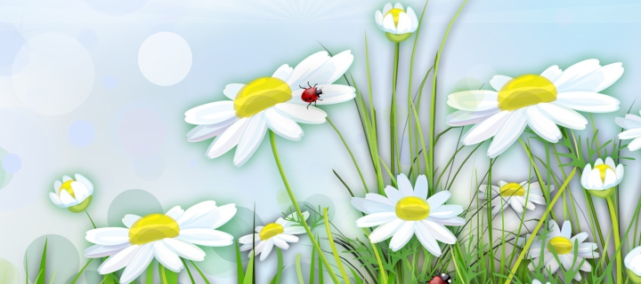 Das Chamomile And Ladybug Wallpaper 720x320
