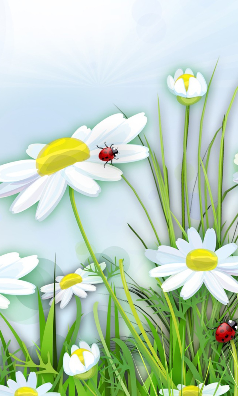 Das Chamomile And Ladybug Wallpaper 768x1280