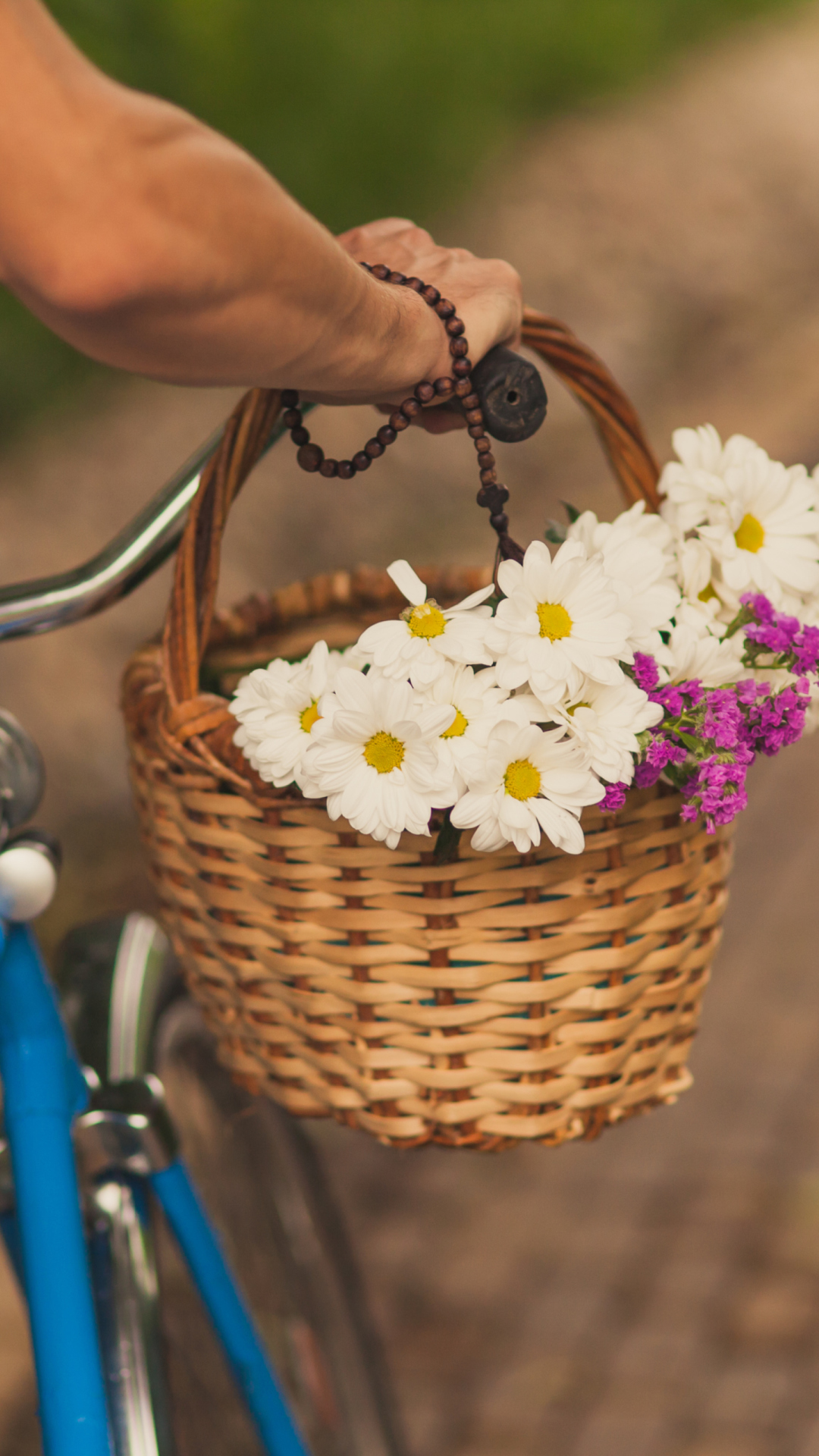 Das Flowers In Bicycle Basket Wallpaper 1080x1920
